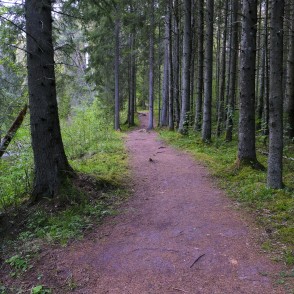 Ejot pa Viesatas dabas taku Ejot pa Viesatas dabas taku