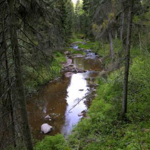 Viesatas upe Viesatas upe