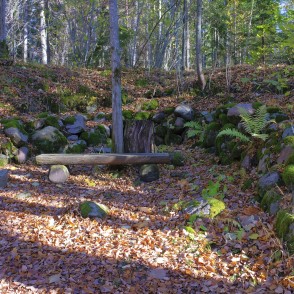 Atpūtas vieta Ķirbižu meža takā Atpūtas vieta Ķirbižu meža takā