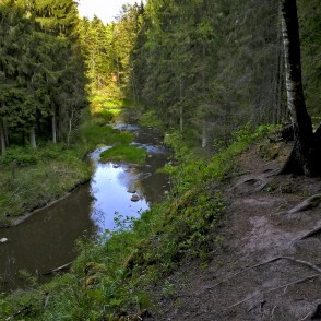 Viesatas upe Viesatas upe