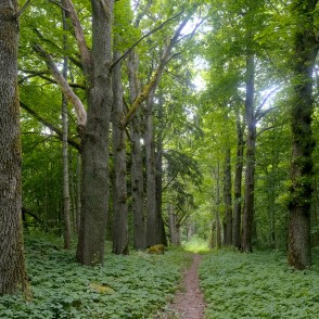 Rudbāržu pastaigu taka Rudbāržu pastaigu taka