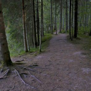 Dabas un izziņas taku "Viesatas upesloki" Dabas un izziņas taku "Viesatas upesloki"