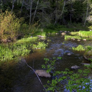 Viesatas upe Viesatas upe