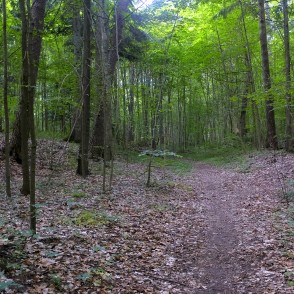 Rudbāržu parka dabas taka Rudbāržu parka dabas taka