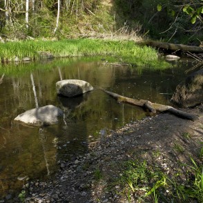 Viesatas upe Viesatas upe