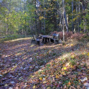 Atpūtas vieta Ķirbižu meža takā Atpūtas vieta Ķirbižu meža takā