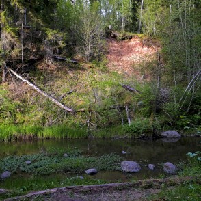 Lielais iezis Viesatas dabas takas maršutā Lielais iezis Viesatas dabas takas maršutā