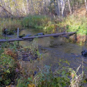 Ķirbižu meža taka šķērso Vitrupi Ķirbižu meža taka šķērso Vitrupi