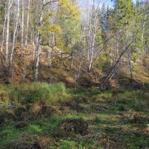 Vitrupes ieleja Vitrupes ieleja