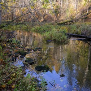 Vitrupes ieleja pie Ķirbižiem Vitrupes ieleja pie Ķirbižiem
