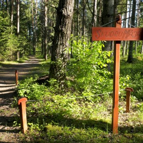 Ejot pa Brocēnu mežaparku Ejot pa Brocēnu mežaparku