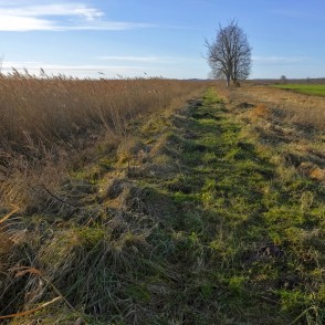 Papes ezera taka Papes ezera taka