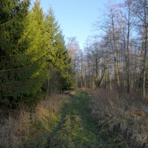 Papes ezera taka Papes ezera taka