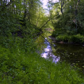 Dabas taka "Zaņas līkloči" Dabas taka "Zaņas līkloči"