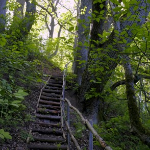 Dabas taka "Zaņas līkloči" Dabas taka "Zaņas līkloči"