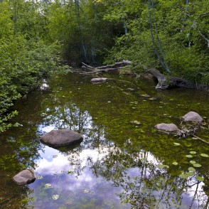 Dabas taka "Zaņas līkloči" Dabas taka "Zaņas līkloči"