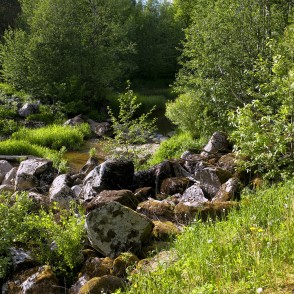 Kalnu dabas taka Kalnu dabas taka