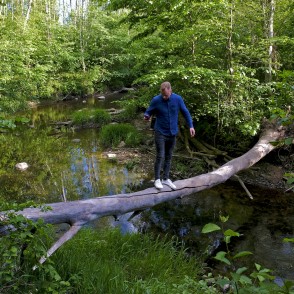 Koks pāri Lošupei Koks pāri Lošupei