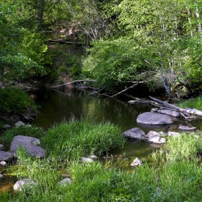 Ejot pa Kalnu dabas taku Ejot pa Kalnu dabas taku
