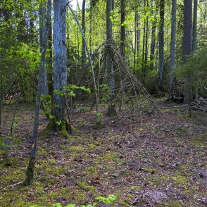 Kalnu dabas taka Kalnu dabas taka