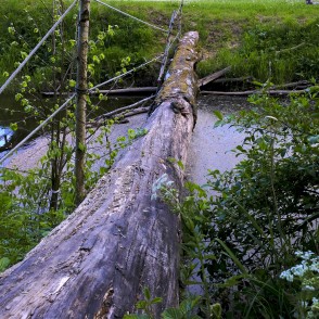 Baļķis pāri Lošupei Baļķis pāri Lošupei