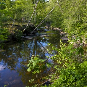 Ejot pa Kalnu dabas taku Ejot pa Kalnu dabas taku