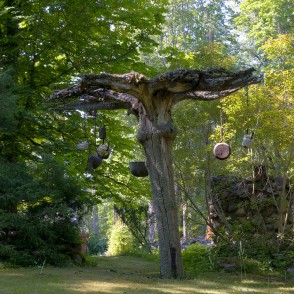 Jumpravas “Gaiļu” dabas taka Jumpravas “Gaiļu” dabas taka