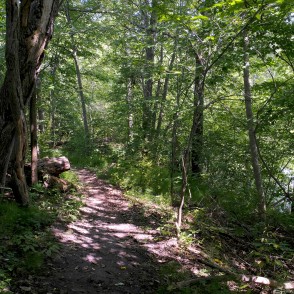 Tilderu dabas taka Tilderu dabas taka