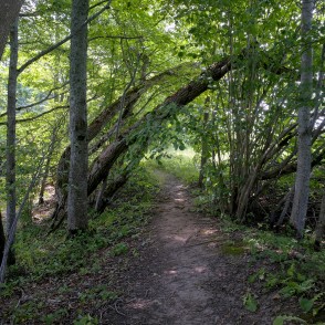 Tilderu dabas taka Tilderu dabas taka