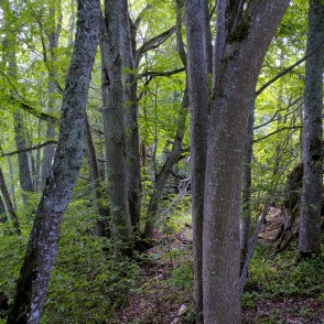 Tilderu dabas taka Tilderu dabas taka