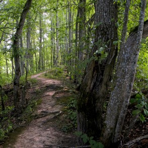 Tilderu dabas taka Tilderu dabas taka