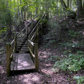 Kāpnes Tilderu dabas takā Kāpnes Tilderu dabas takā