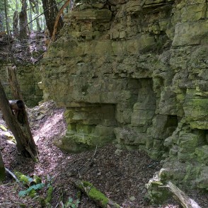 Dolomīta atsegumi Tilderu dabas takā Dolomīta atsegumi Tilderu dabas takā