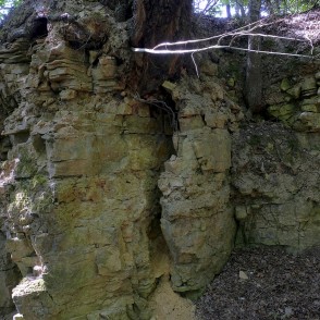Dolomīta atsegumi Tilderu dabas takā Dolomīta atsegumi Tilderu dabas takā