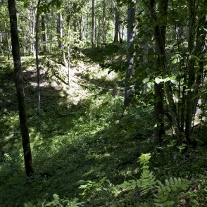 Skaistkalnes kritenes Skaistkalnes kritenes