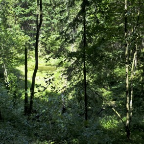 Skaistkalnes kritenes Skaistkalnes kritenes