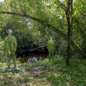 Vaidavas dabas taka Vaidavas dabas taka