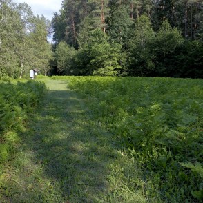 Vaidavas dabas taka Vaidavas dabas taka