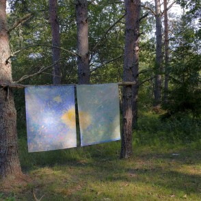 Vaidavas dabas taka Vaidavas dabas taka