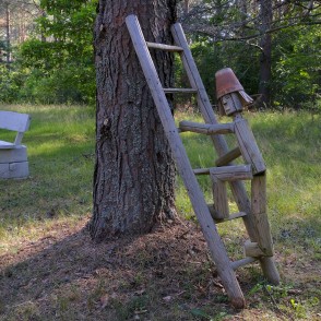 Vaidavas dabas taka Vaidavas dabas taka