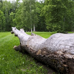 Dabas parks "Vilce" Dabas parks "Vilce"