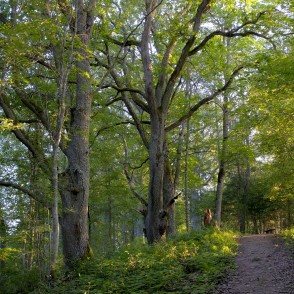 Drusku pilskalna taka Drusku pilskalna taka