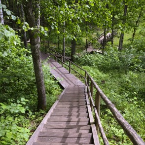 Barona taka Vilces dabas parkā Barona taka Vilces dabas parkā