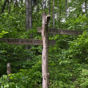 Barona taka Vilces dabas parkā Barona taka Vilces dabas parkā