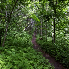 Barona taka Vilces dabas parkā Barona taka Vilces dabas parkā