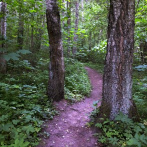 Barona taka Vilces dabas parkā Barona taka Vilces dabas parkā