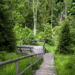 Barona taka Vilces dabas parkā Barona taka Vilces dabas parkā