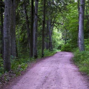 Dabas taka uz Zaķu pļavu Dabas taka uz Zaķu pļavu