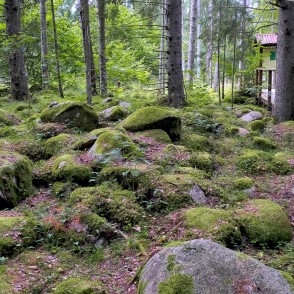 Kaltenes Kalvas Kaltenes Kalvas