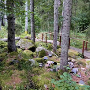 Kaltenes Kalvas Kaltenes Kalvas